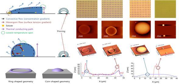 Implementation of an Inkjet Print-Based Ultra-Small Zinc Oxide Microdot Array (Possible for Nanoprinting Technology) 대표이미지